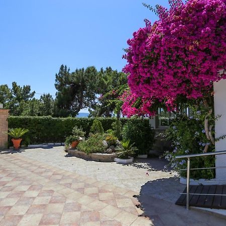 Danae Hotel Aegina Exterior foto